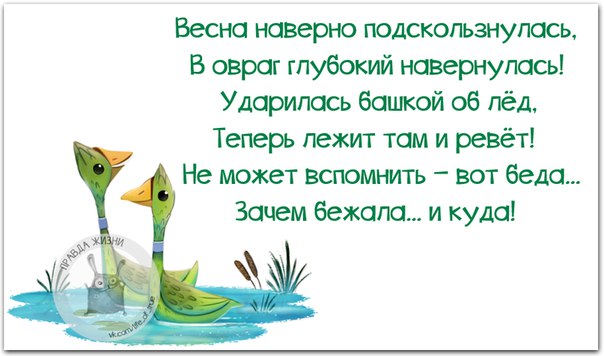 VFL.RU -  