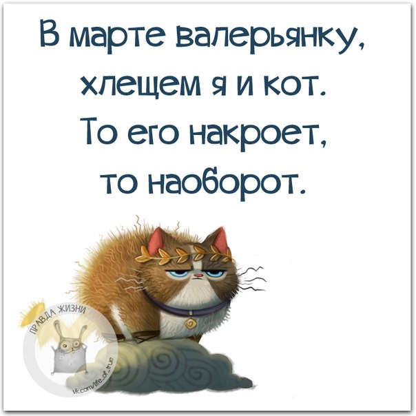 VFL.RU -  