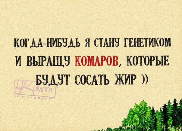 VFL.RU -  