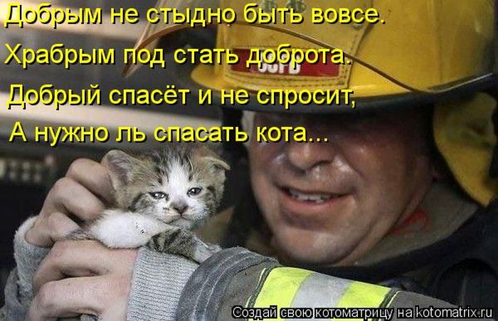VFL.RU - ��� �����������