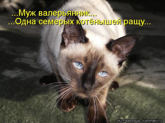 VFL.RU - ��� �����������