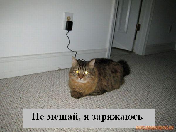 VFL.RU - ��� �����������