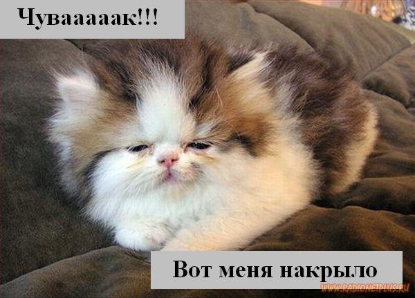 VFL.RU - ��� �����������