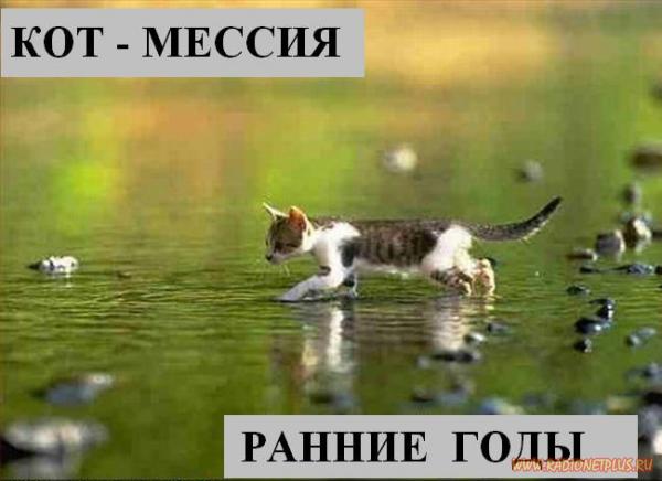 VFL.RU - ��� �����������
