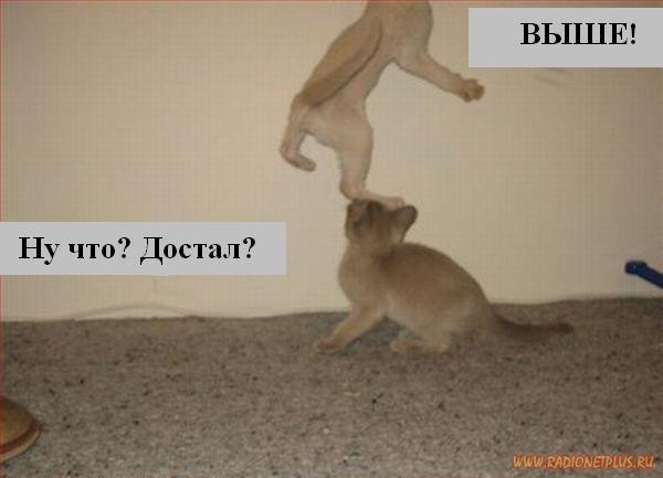 VFL.RU - ��� �����������