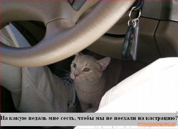 VFL.RU - ��� �����������