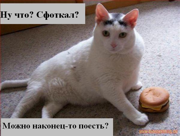 VFL.RU - ��� �����������