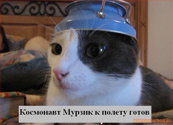 VFL.RU - ��� �����������