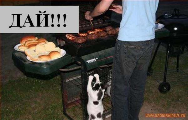 VFL.RU - ��� �����������