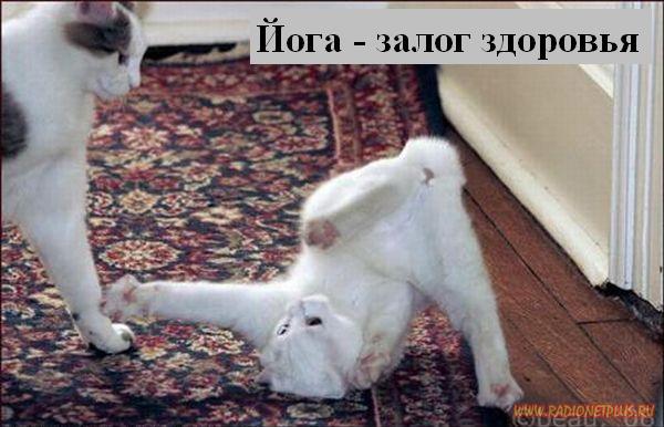 VFL.RU - ��� �����������