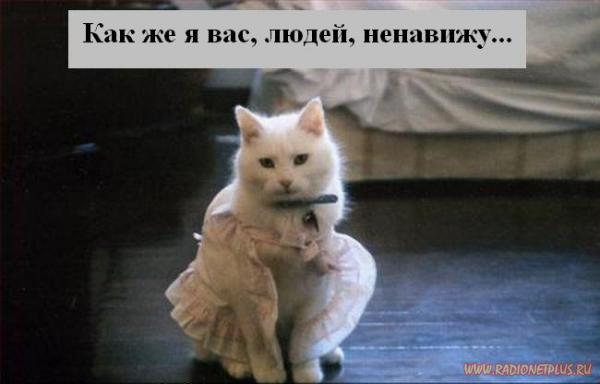 VFL.RU - ��� �����������