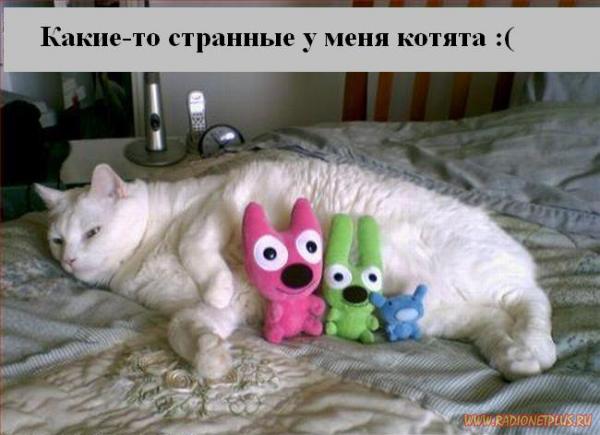 VFL.RU - ��� �����������