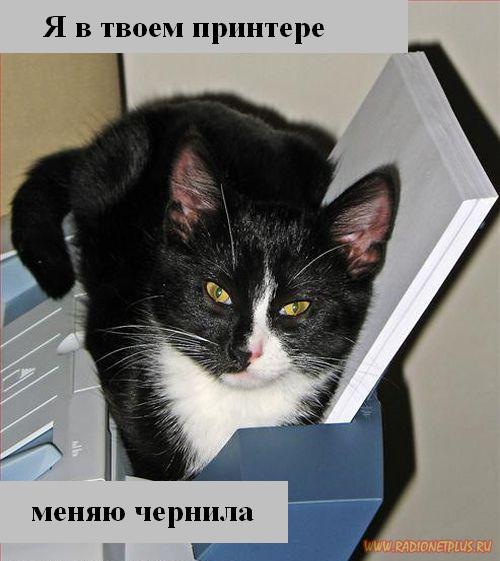 VFL.RU - ��� �����������