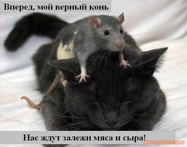 VFL.RU - ��� �����������