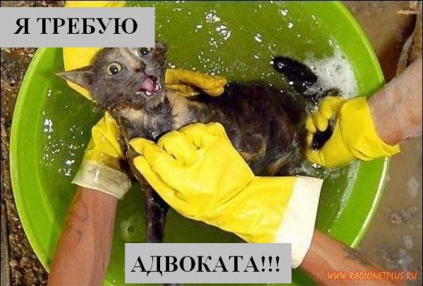 VFL.RU - ��� �����������