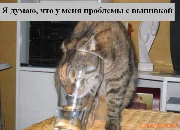 VFL.RU - ��� �����������