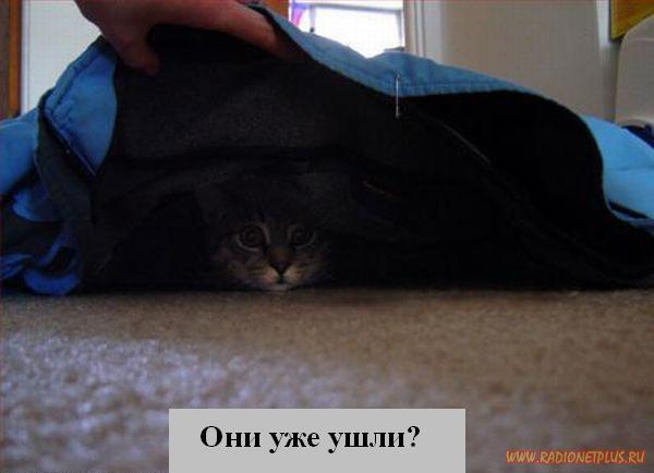 VFL.RU - ��� �����������