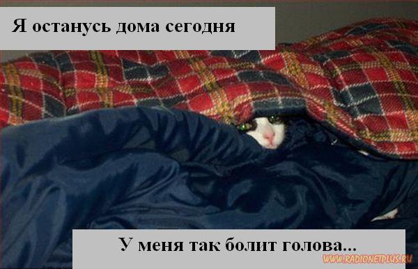 VFL.RU - ��� �����������