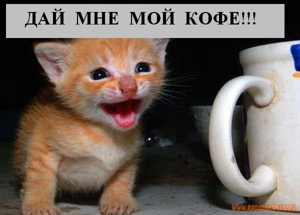 VFL.RU - ��� �����������