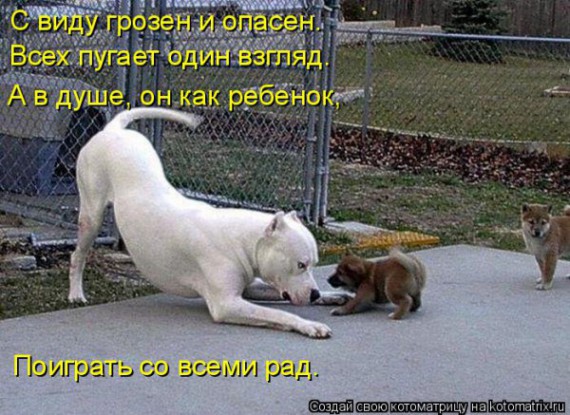 VFL.RU - ��� �����������