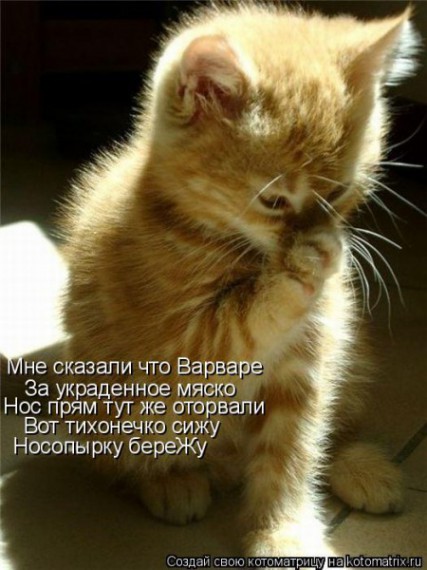 VFL.RU - ��� �����������