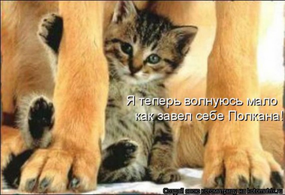 VFL.RU - ��� �����������