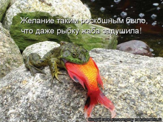 VFL.RU - ��� �����������