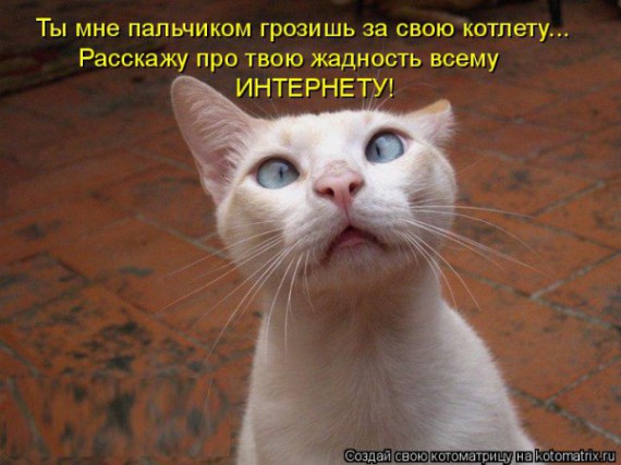 VFL.RU - ��� �����������
