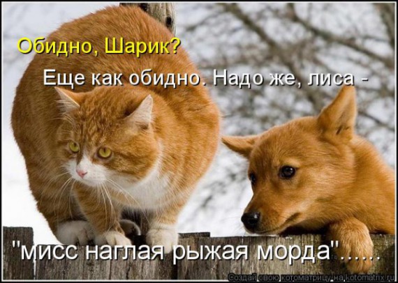 VFL.RU - ��� �����������