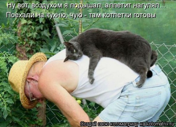 VFL.RU - ��� �����������