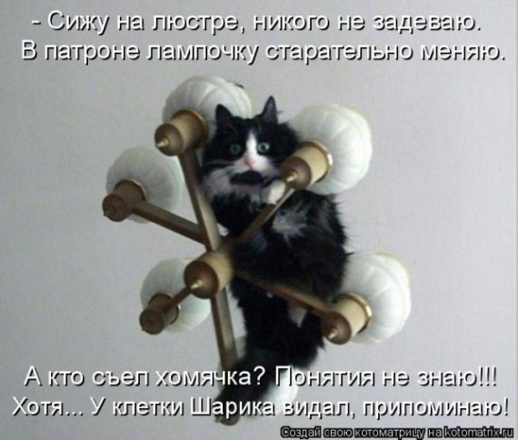 VFL.RU - ��� �����������