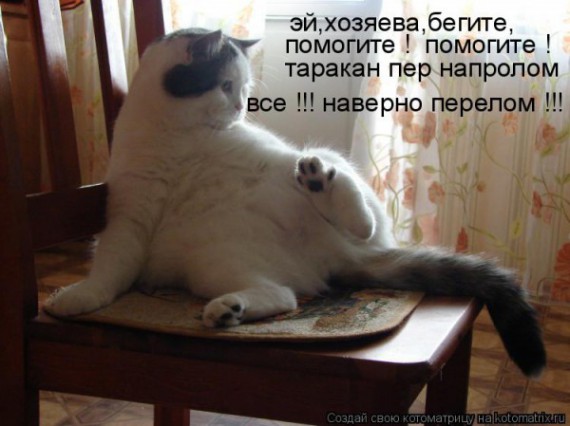 VFL.RU - ��� �����������