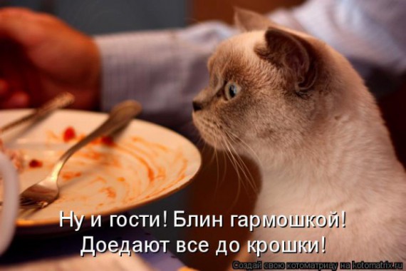 VFL.RU - ��� �����������