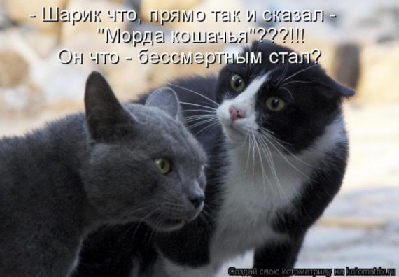 VFL.RU - ��� �����������