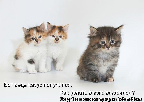 VFL.RU - ��� �����������