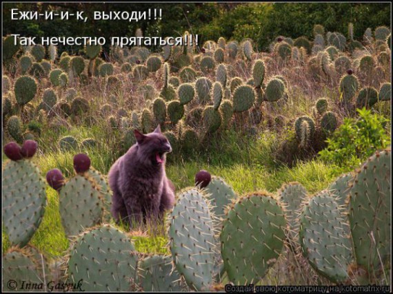 VFL.RU - ��� �����������