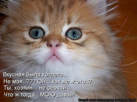 VFL.RU - ��� �����������