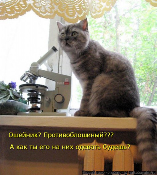 VFL.RU - ��� �����������