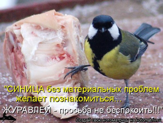 VFL.RU - ��� �����������