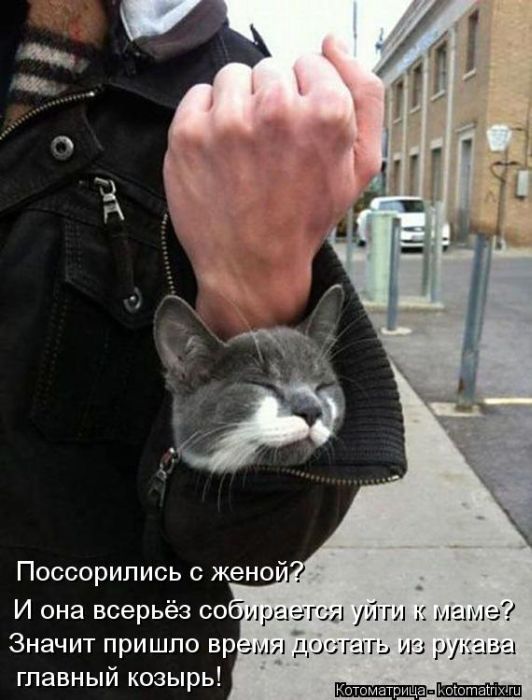 VFL.RU - ��� �����������
