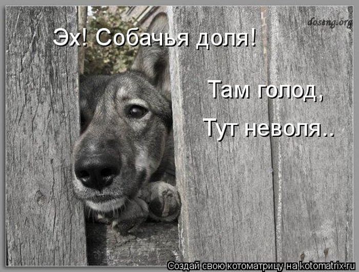 VFL.RU - ��� �����������