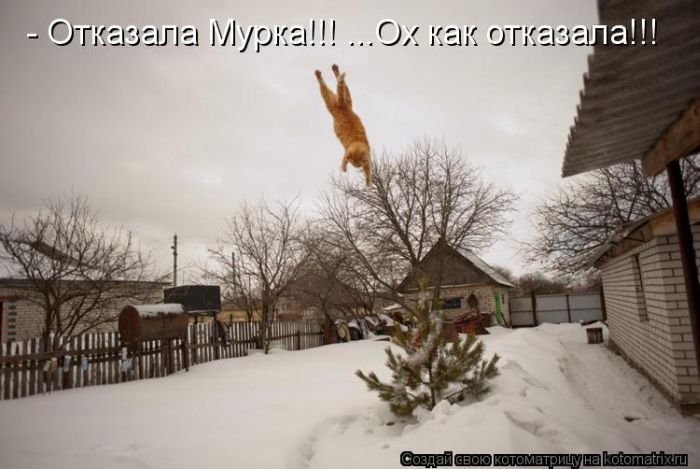 VFL.RU - ��� �����������
