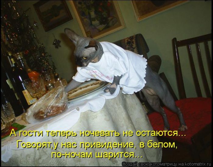 VFL.RU - ��� �����������