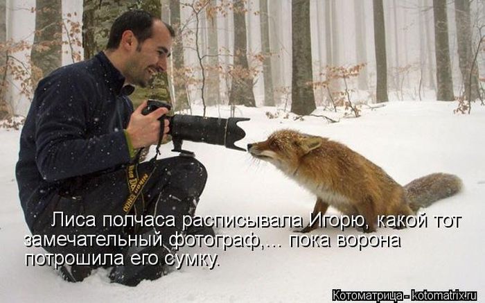 https://images.vfl.ru/ii/1742805654/342e073a/39768184.jpg