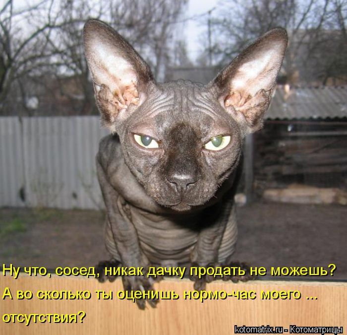 VFL.RU - ��� �����������