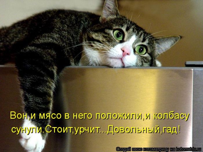 VFL.RU - ��� �����������