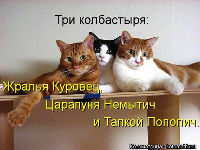 VFL.RU - ��� �����������