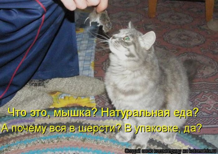 VFL.RU - ��� �����������