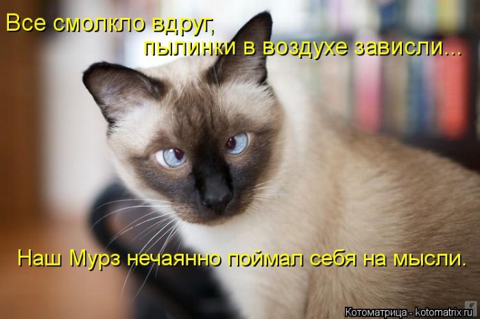 VFL.RU - ��� �����������