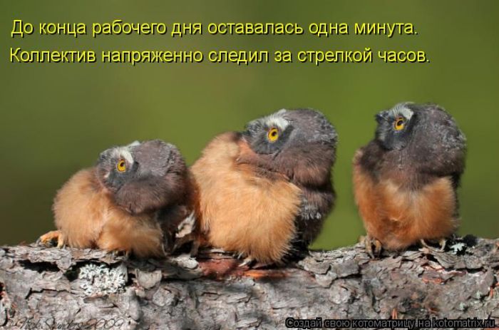 https://images.vfl.ru/ii/1742805659/40108944/39768196.jpg